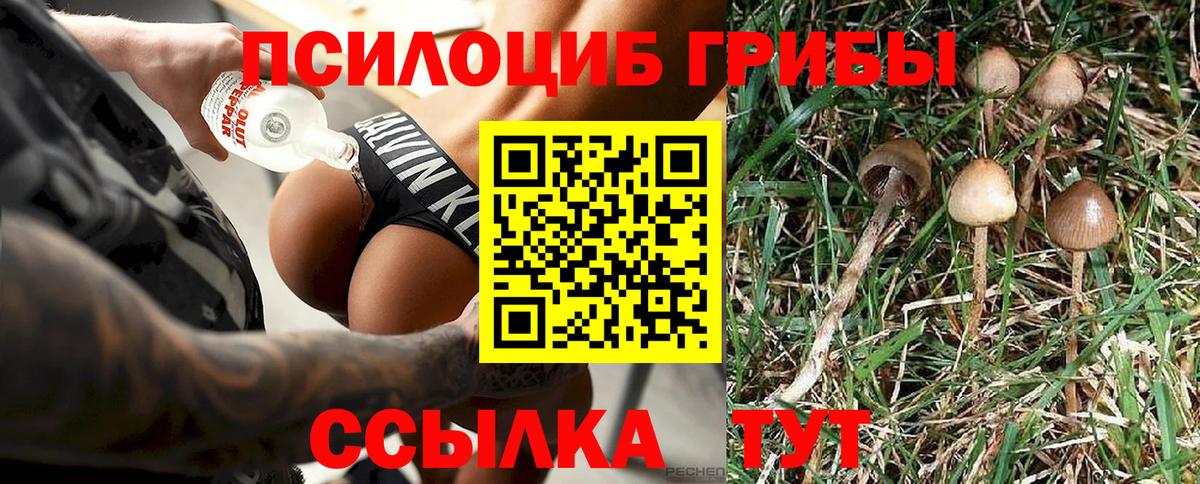 Псилоцибиновые грибы прущие грибы  Вход с VPN  Нурлат 